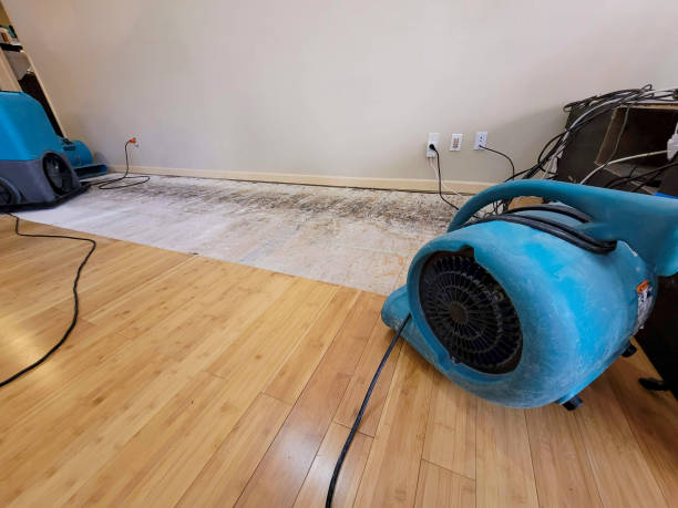 Professional Water Removal technician working in Polk City, FL
